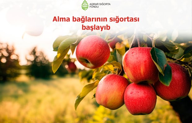 icbari Əmlak